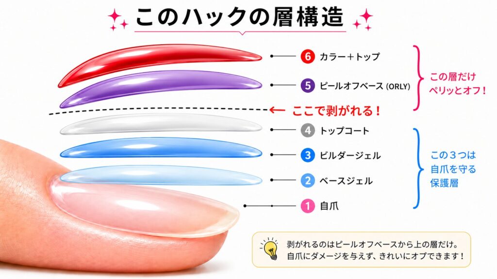 ピールオフベースを使ったジェルネイルの層構造図。自爪を守るベース層を残し、カラー＋トップだけを剥がす仕組みを説明。