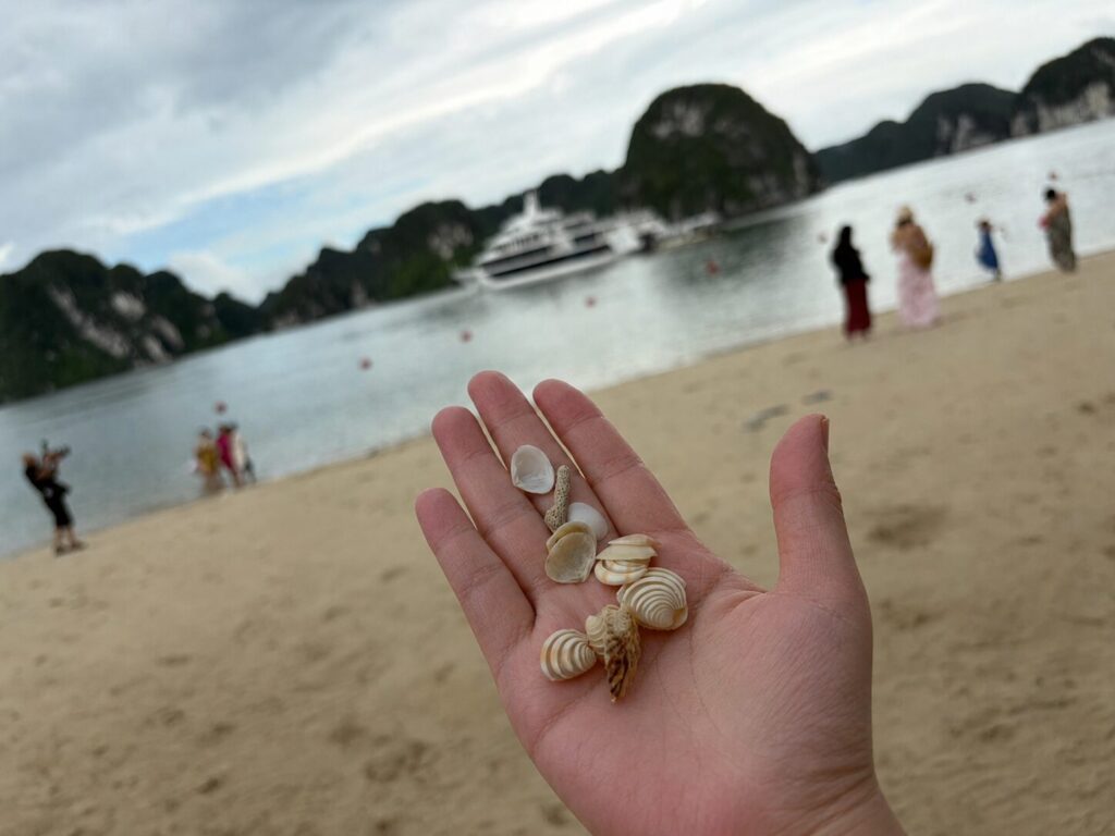 ティートップ島のビーチで拾った貝殻を手のひらに乗せて、海をバックに撮影した写真。