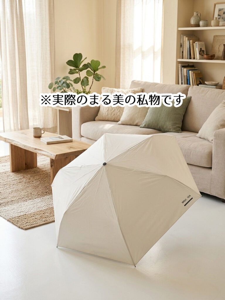Wpc. IZAを開いてリビングに置いてある様子。